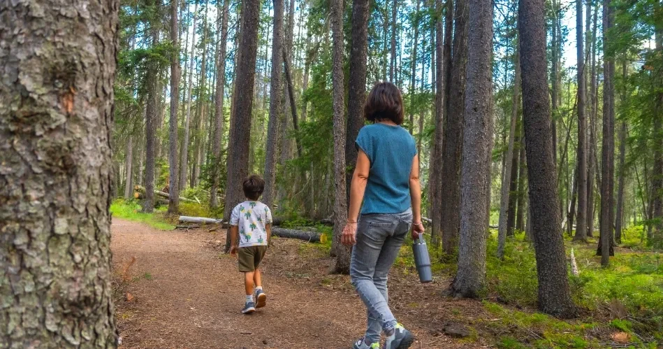 Anaheim Outdoor Activities: Hiking, Biking & Scenic Escapes